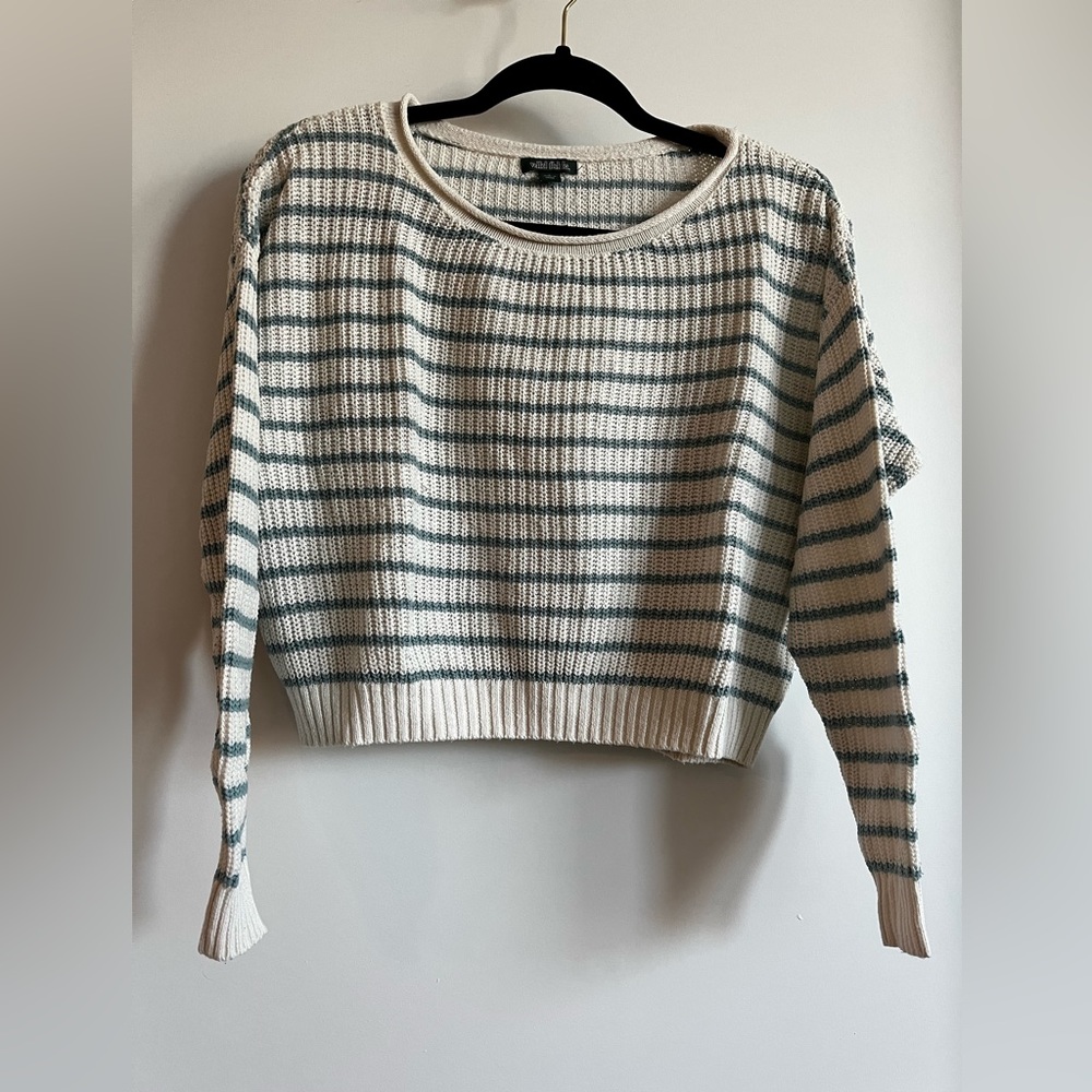Striped cream and blue wild fable cropped sweater